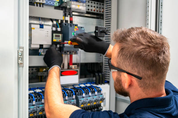 Best Electric Panel Repair  in Lubeck, WV